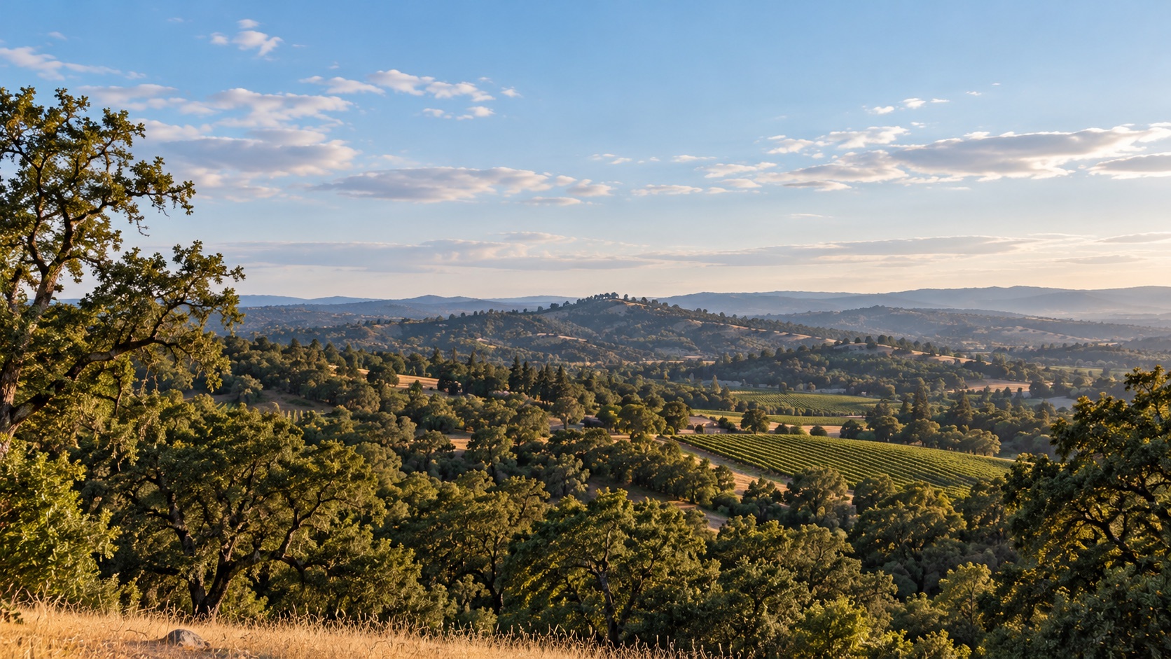 AI-generated illustration of oak-covered foothills and a small vineyard